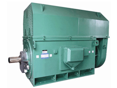 YR5001-8Y系列6KV高压电机