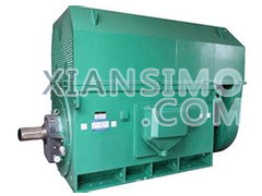 YR5001-8YXKK(2极)高效高压电机技术参数